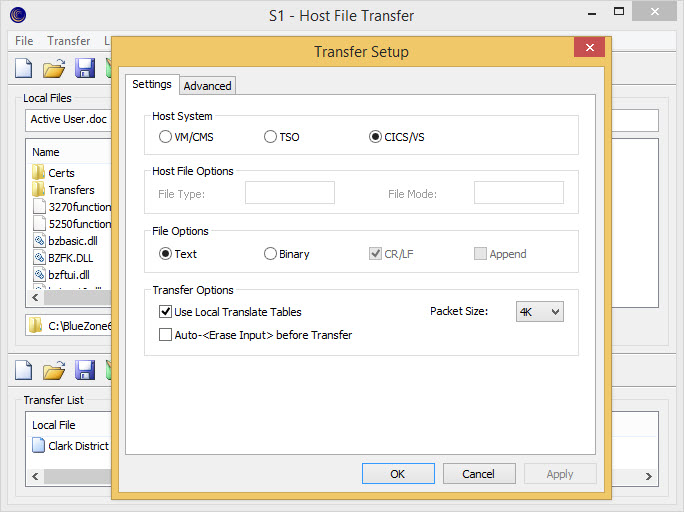 Host File Transfer Setup window from BlueZone 6.1