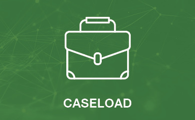 Case Load Dashboard