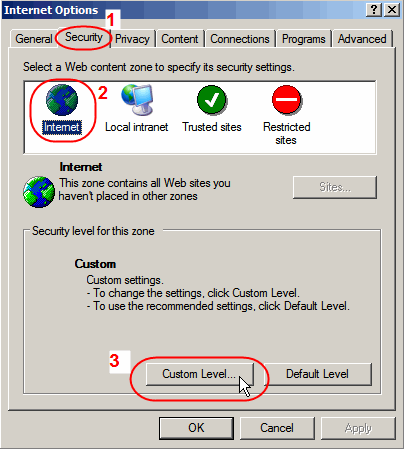 IE Security Tab